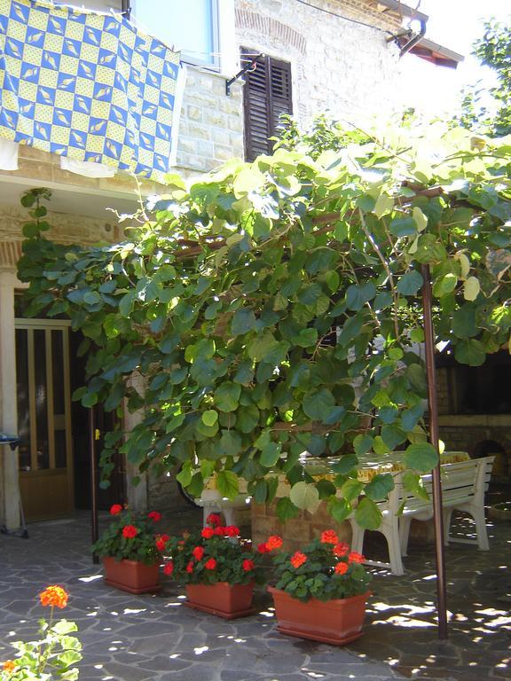 Studios Slavica Новиград Номер фото